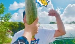 网红吃瓜资料免费,揭秘娱乐圈幕后真相