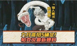 九月高招s小樱最新爆料